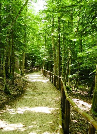 B & B Il Tratturo San Pietro Avellana Exteriér fotografie